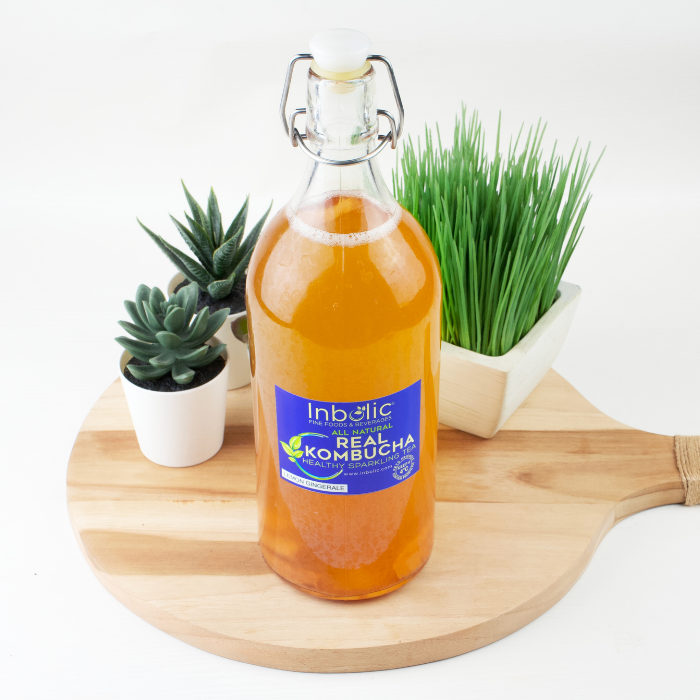 Probiotic Healthy Drink Kombucha / Minuman Fermentasi Teh